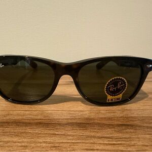 Ray-Ban Classic Brown Sunglasses